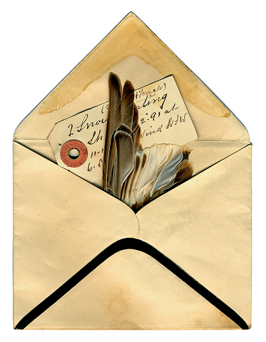 Lightkeeper Letter
